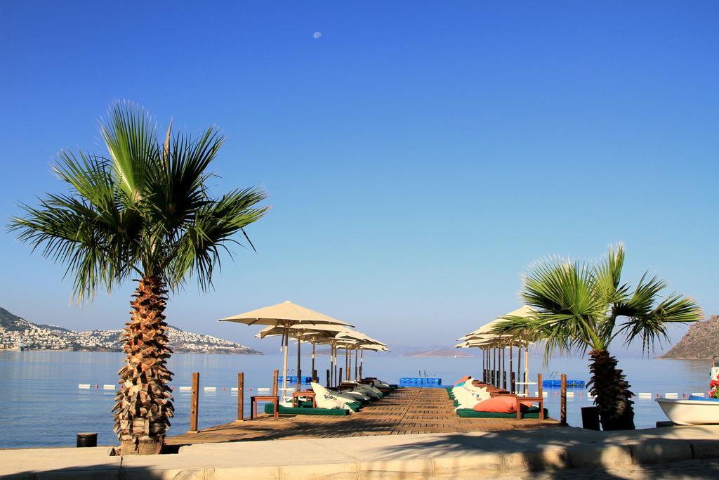 Elite Hotel Bodrum Yalıkavak エクステリア 写真